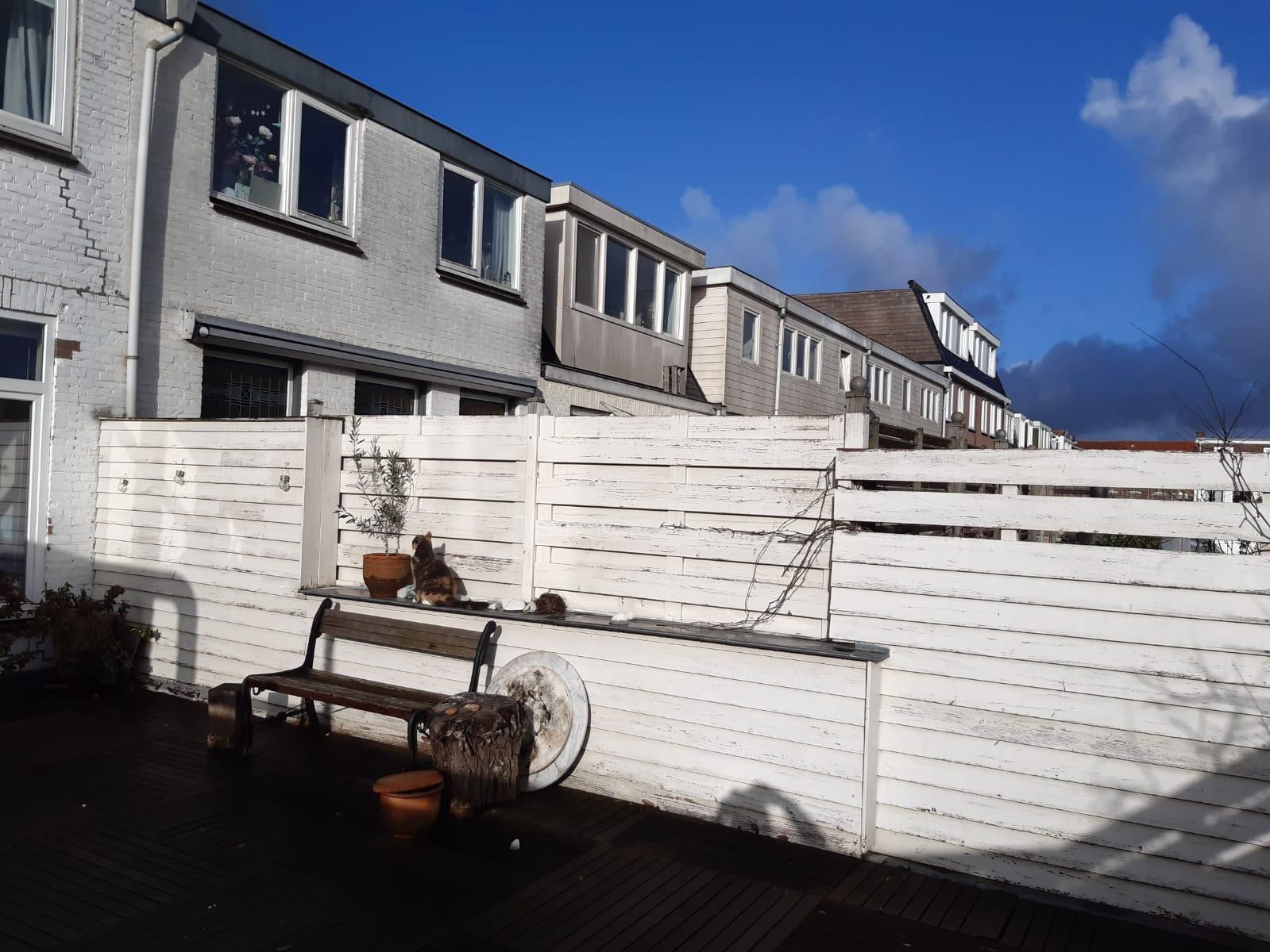 Dakterras — situatie vóór renovatie